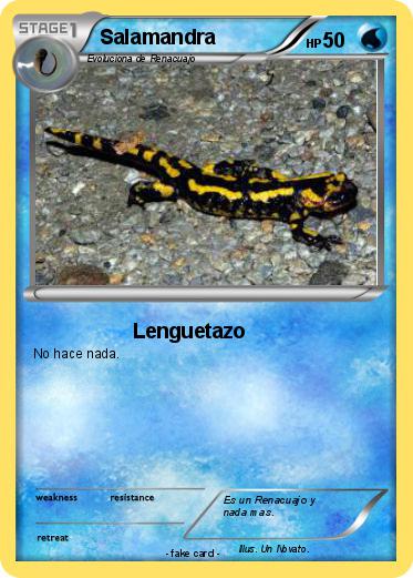 Pokemon Salamandra