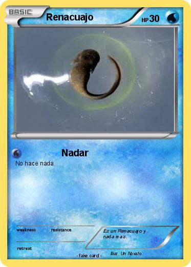 Pokemon Renacuajo