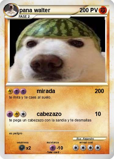 Pokemon pana walter