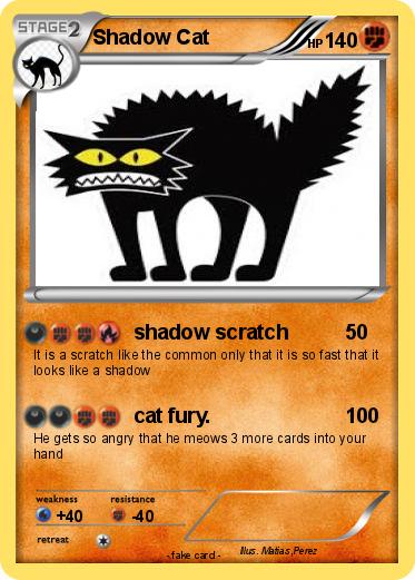 Pokemon Shadow Cat