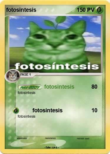 Pokemon fotosintesis