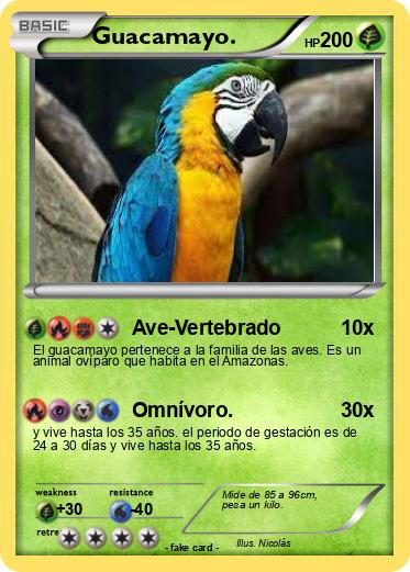 Pokemon Guacamayo.