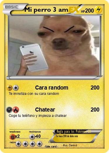Pokemon Mi perro 3 am