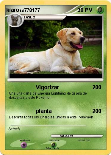 Pokemon kiaro