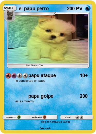 Pokemon el papu perro