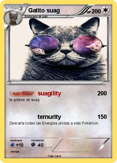 Pokemon Gatito suag