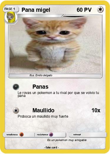 Pokemon Pana migel
