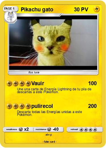 Pokemon Pikachu gato