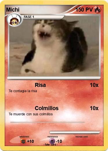 Pokemon Michi