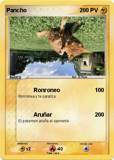 Pokemon Pancho
