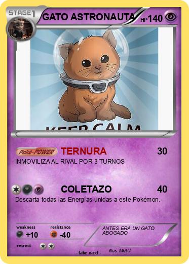 Pokemon GATO ASTRONAUTA