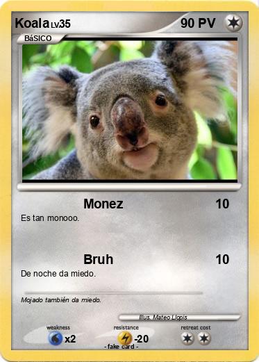 Pokemon Koala