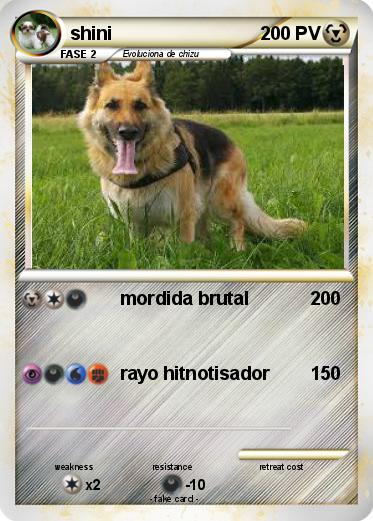 Pokemon shini