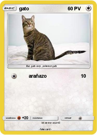 Pokemon gato