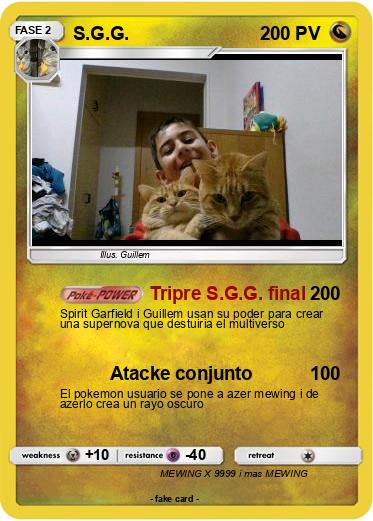 Pokemon S.G.G.