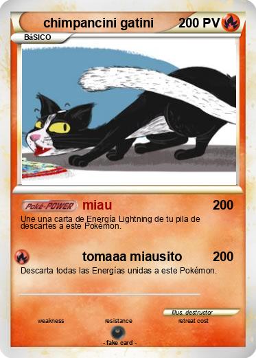 Pokemon chimpancini gatini