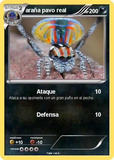 Pokemon araña pavo real