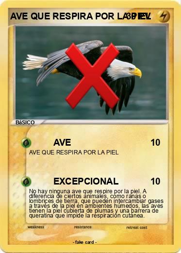 Pokemon AVE QUE RESPIRA POR LA PIEL