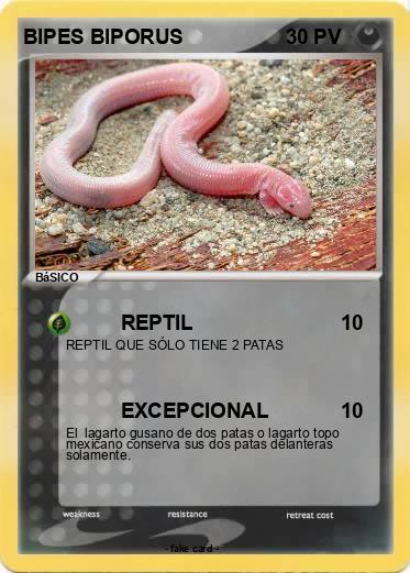 Pokemon BIPES BIPORUS