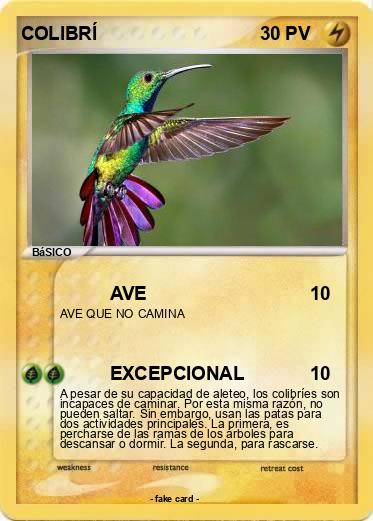 Pokemon COLIBRÍ