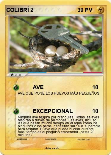Pokemon COLIBRÍ 2