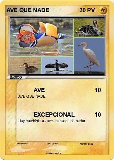 Pokemon AVE QUE NADE