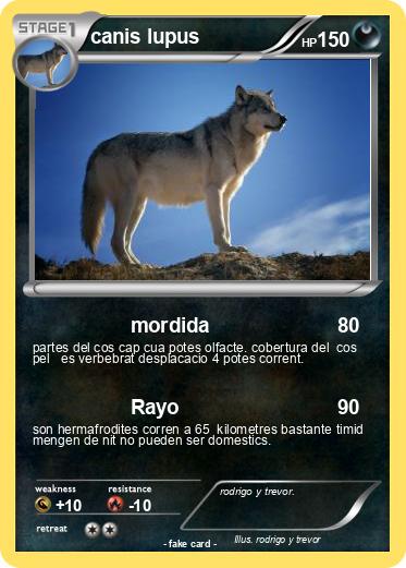 Pokemon canis lupus Pokemon canis lupus