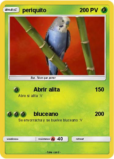 Pokemon periquito