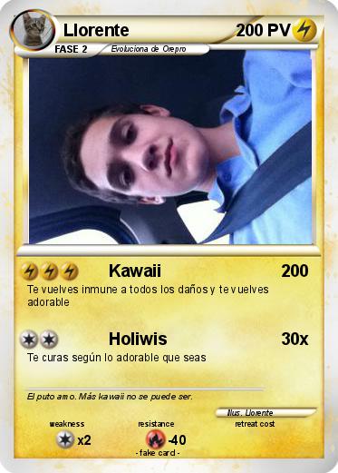 Pokemon Llorente