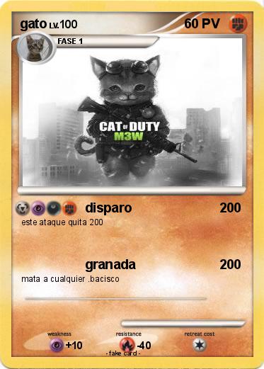 Pokemon gato