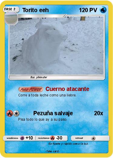 Pokemon Torito eeh