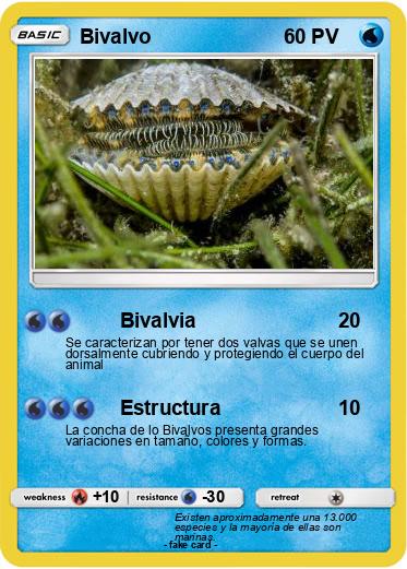 Pokemon Bivalvo