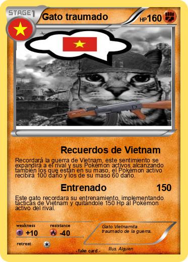 Pokemon Gato traumado