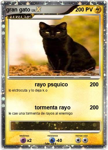 Pokemon gran gato