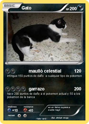 Pokemon Gato