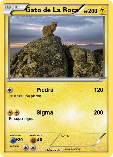 Pokemon Gato de La Roca