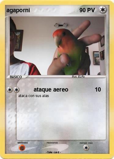 Pokemon agaporni