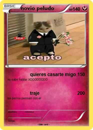 Pokemon novio peludo