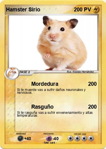 Pokemon Hamster Sirio