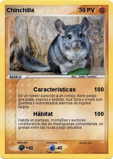 Pokemon Chinchilla