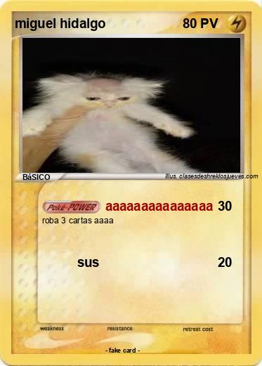 Pokemon miguel hidalgo