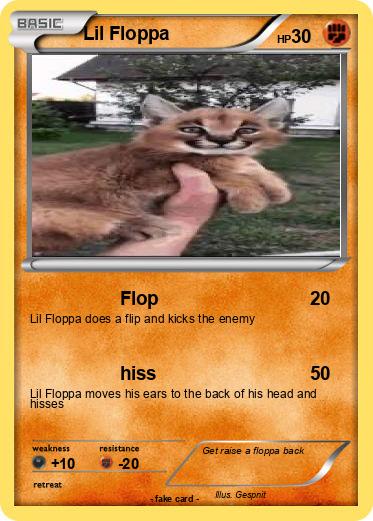 Pokemon Lil Floppa