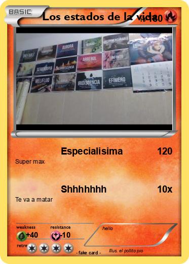 Pokemon Los estados de la vida