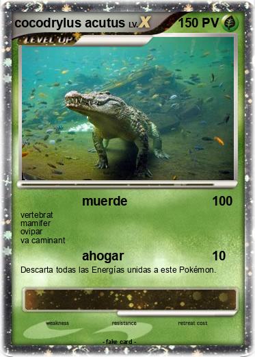 Pokemon cocodrylus acutus