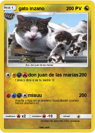 Pokemon gato inzano