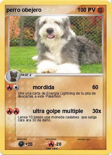 Pokemon perro obejero