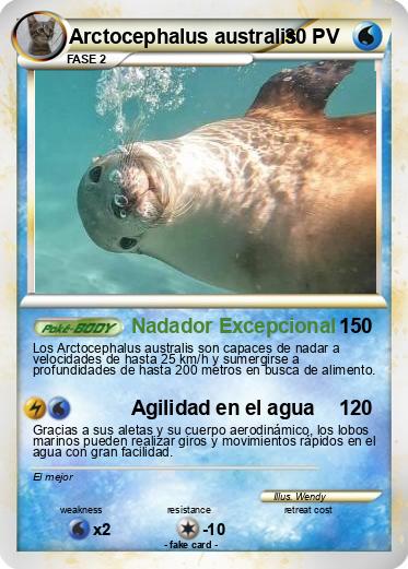 Pokemon Arctocephalus australis
