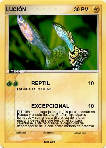 Pokemon LUCIÓN