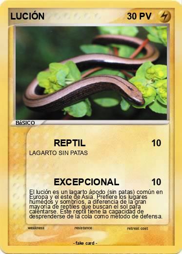 Pokemon LUCIÓN