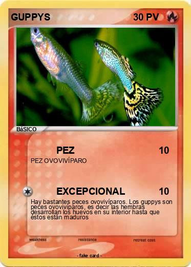 Pokemon GUPPYS